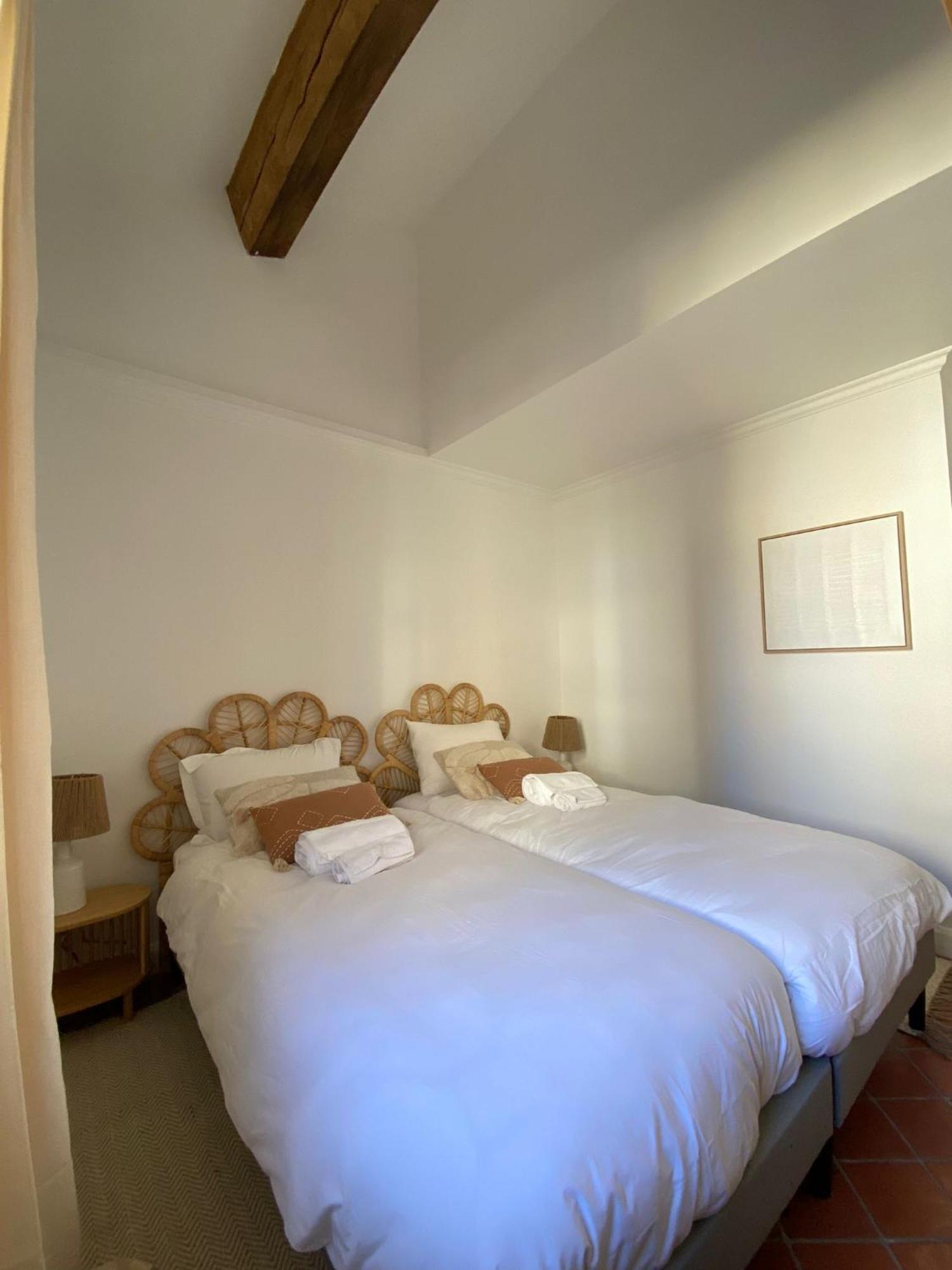 Deux Chambres Avec Terrasse Dans Le Centre Ville D'Aix En Provence 普罗旺斯地区艾克斯 外观 照片
